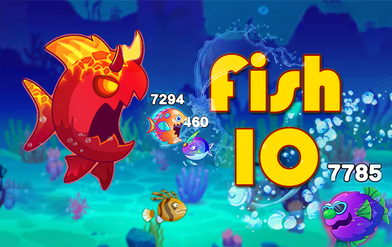 Fish IO